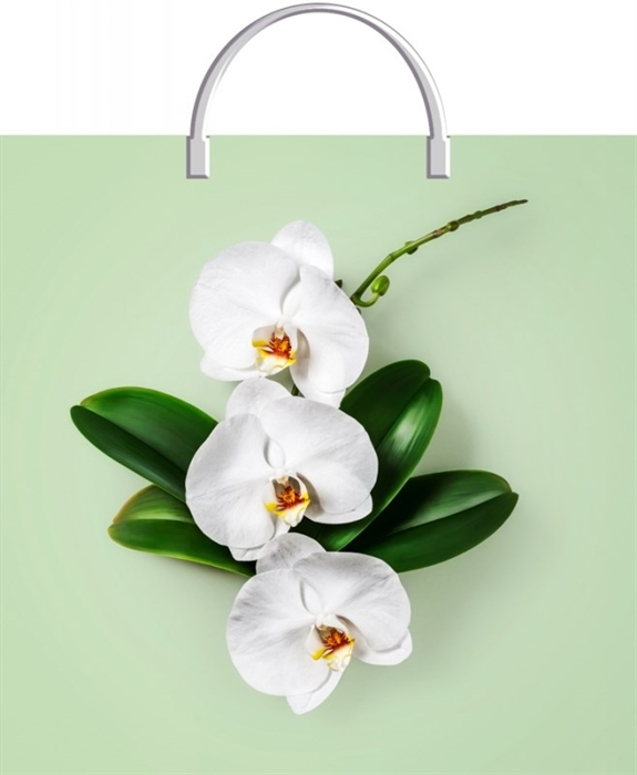 Пакет с пластик.ручками 36х37  Орхидея на салатовом  (100) ТИКО СНЯТ - фото 13746