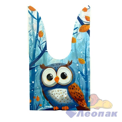 P146 Пакет с ушками 16х27х3см СОВА (50шт/1уп)