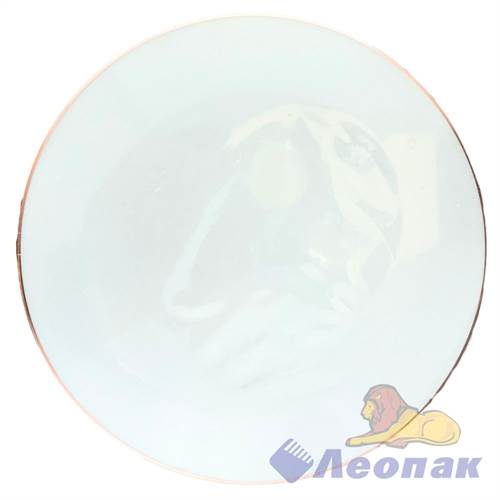 Тарелка пластиковая d=230мм (6шт/36уп) ТР237