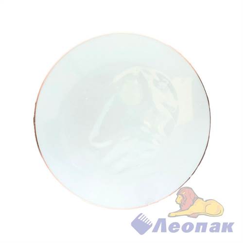 Тарелка пластиковая d=190мм (6шт/36уп) ТР197