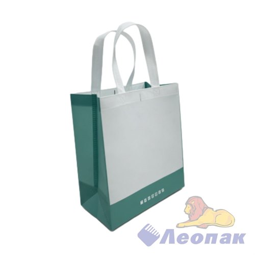 Пакет-сумка 28х25х15 "Бело-зеленый" (1уп/25шт)