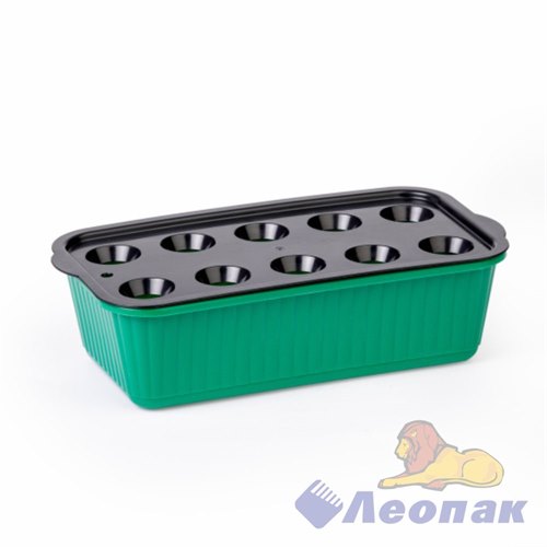 Лоток для выращивания зеленого лука зеленый