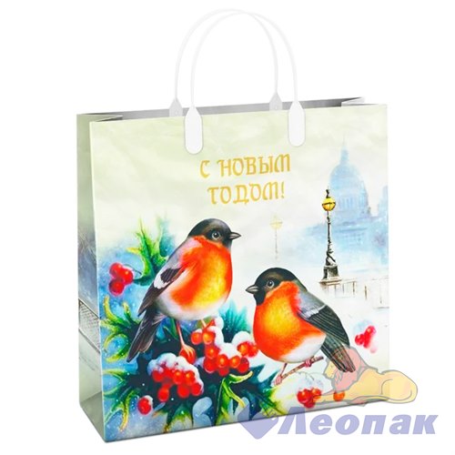 Пакет мягкий пластик "Пернатые друзья" 30х30-150мкм (10шт/40шт) /Интер