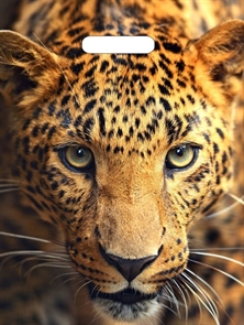 П-выр.ручка 31х40-60мкм  Взгляд леопарда  ламинат (500) ТИКО