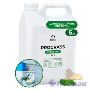 Моющее средство "Prograss" (канистра 5 кг)