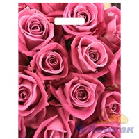 П-выр.ручка 31х40-60мкм Джейми ПВД (50/500) ТИКО