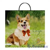 Пакет с пластик.ручками 37х35-90 Корги (5шт/100) Нео-пак