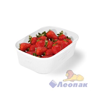 {{productViewItem.photos[photoViewList.activeNavIndex].Alt || productViewItem.photos[photoViewList.activeNavIndex].Description || 'Контейнер OSQ CASE BOWL 660 WHITE EDITION (405 шт./кор.)'}}