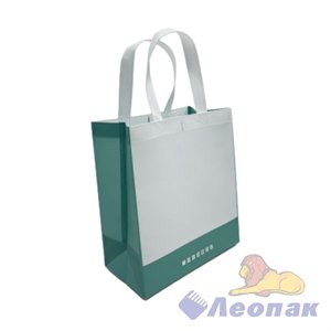 Пакет-сумка 28х25х15 "Бело-зеленый" (1уп/25шт)