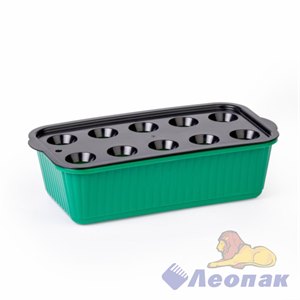 Лоток для выращивания зеленого лука зеленый