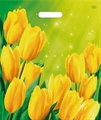 П-выр.ручка 38х45-60мкм "Солнечные тюльпаны" (50/500) ТИКО - фото 16532