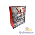N1076 Пакет НГ люкс с блестками 18х23х10 (480/12)
