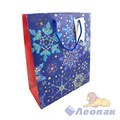 N1071 Пакет НГ люкс 26х32х12  (360/12шт) 4913/969 - фото 50279
