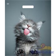 П-выр.ручка 38х45-60мкм Кот ламинат (50/500) ТИКО