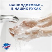 SAFEGUARD Мыло туалетное Классический 90г 5000174349672 - фото 51403