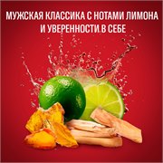 OLD SPICE мужской дезодорант стик WhiteWater 50мл 4084500490581 - фото 51434