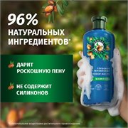 HERBAL ESSENCES Шампунь Аргановое масло 350мл 8700216212632 - фото 51739