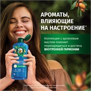 HERBAL ESSENCES Шампунь Аргановое масло 350мл 8700216212632 - фото 51740