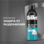 Пена для бритья Gillette Classic Sensitive, Для Чувствительной Кожи, мужской, 200 мл 3014260240226 - фото 51922